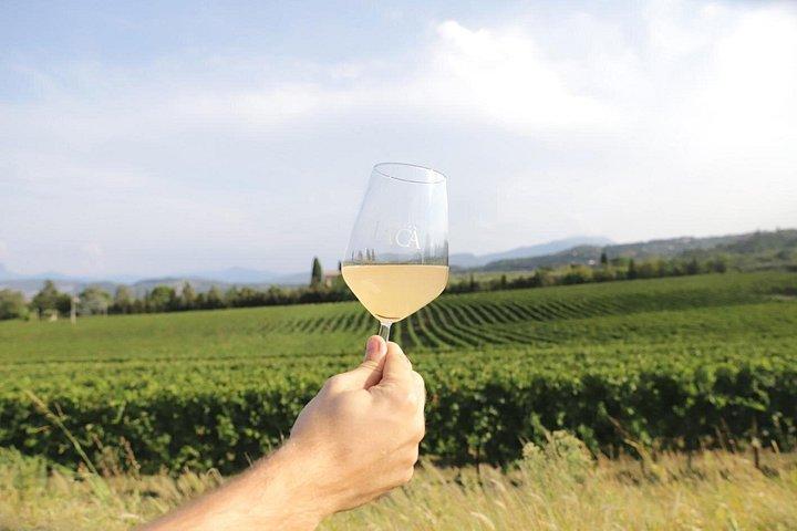 Visit and wine tasting at Tenuta La Cà
