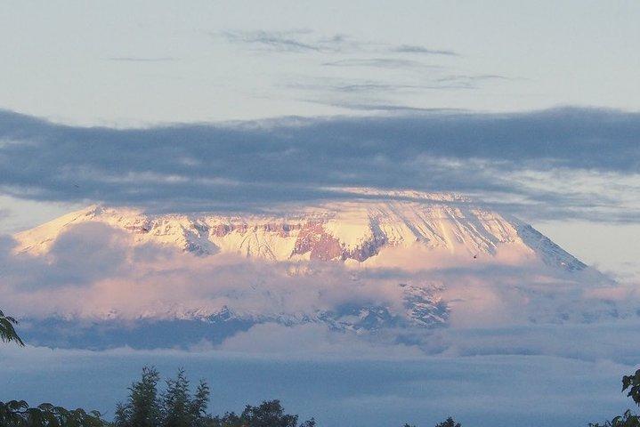 5 dage Marangu rute Kilimanjaro Climbing