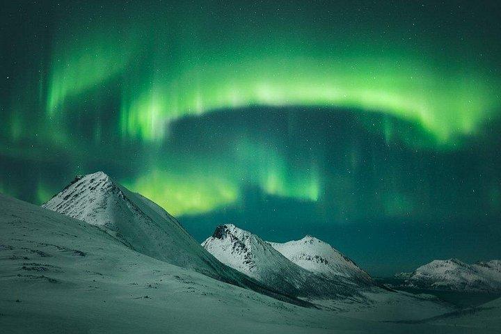 Nordlys-eventyr – Ind i Arktisk Nat