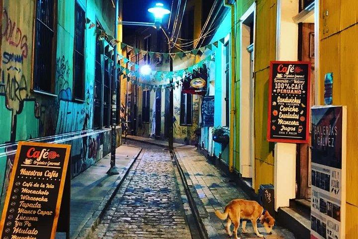 Gita privata di un giorno a Valparaíso e Viña del Mar con Boutique Winery