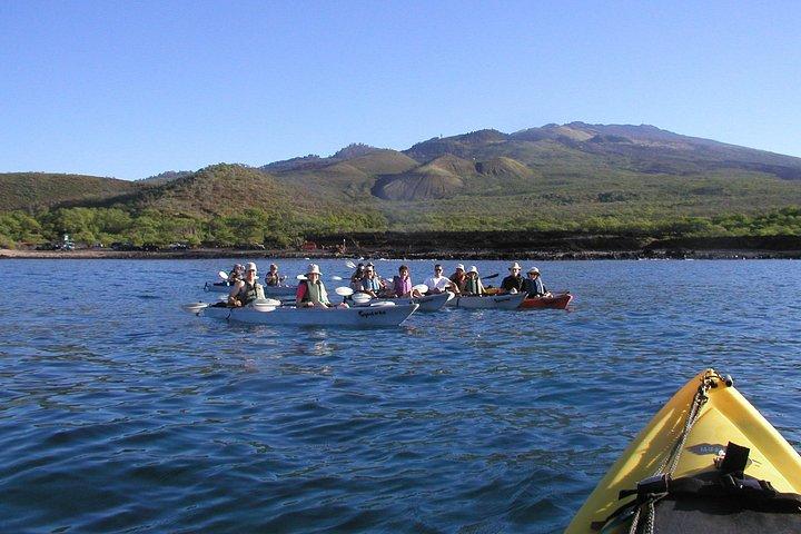 Safari plongée avec tuba à Ukumehame
