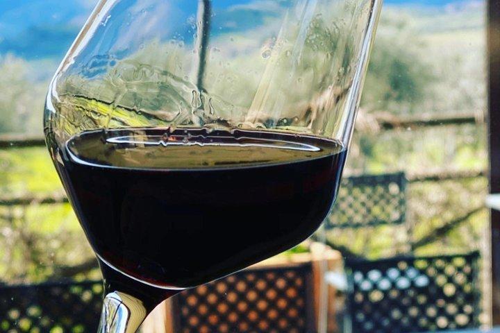 Exclusieve privé wijntour door Toscane & sessie voor het koppelen van eten