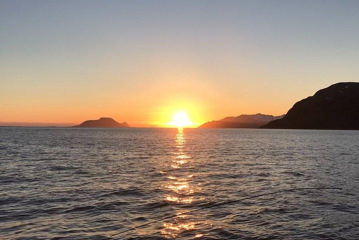 Tromsø : 夏の夜のクルーズとアクティビティ