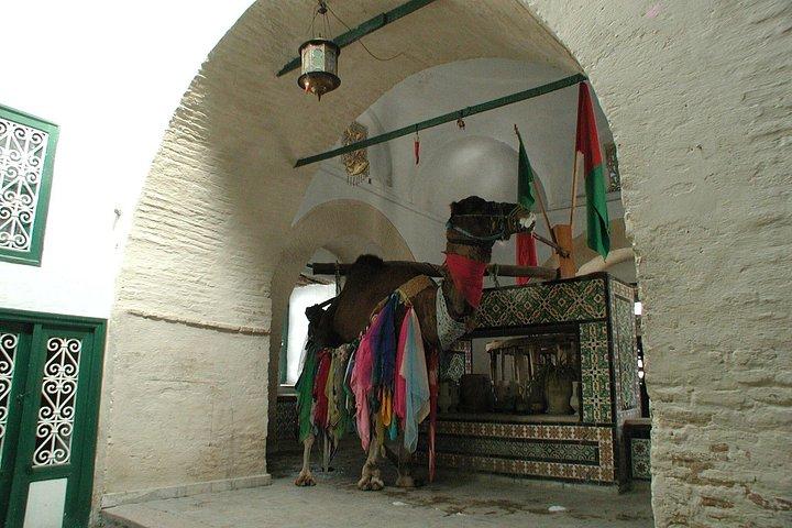 day excursion Kairouan_El jem from Tunis