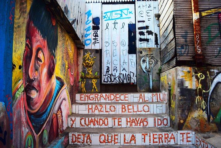3 giorni Privato Santiago Valparaíso & Viña del Mar con trasferimenti