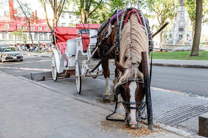 Billeder af byen Quebec