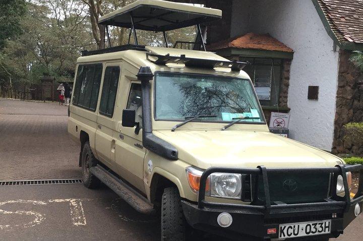 Halbtagesausflug zum Nationalpark Nairobi
