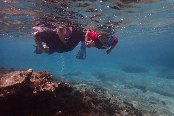 Snorkling tur