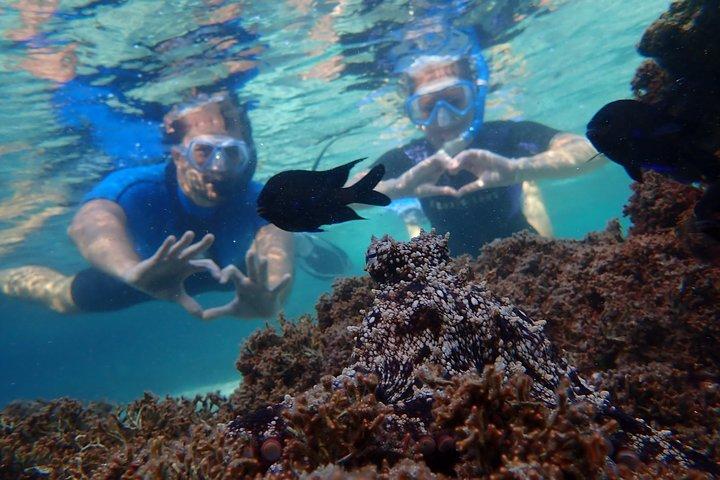 Snorkling tur