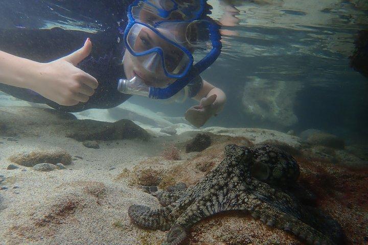 Snorkling tur