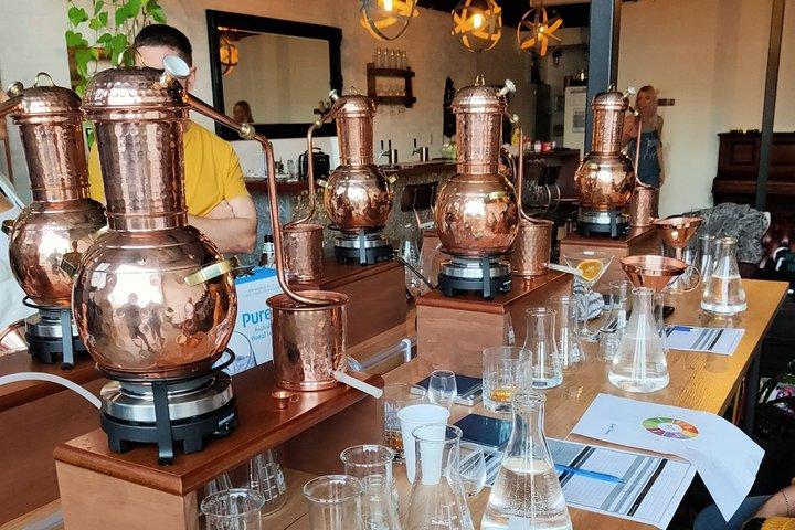 Small-Group Gin Masterclass in Gold Coast