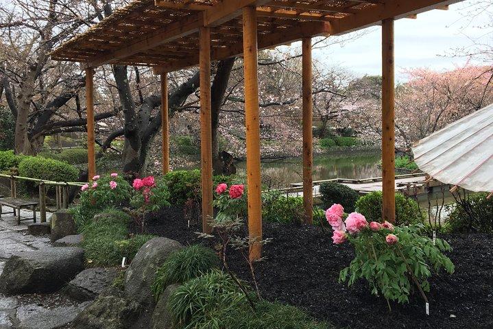 鎌倉フラワーツアー