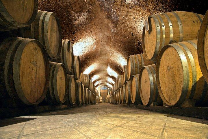 Visite privée de Bella Toscana: 2 établissements vinicoles du Chianti et San Gimignano à partir de Livourne