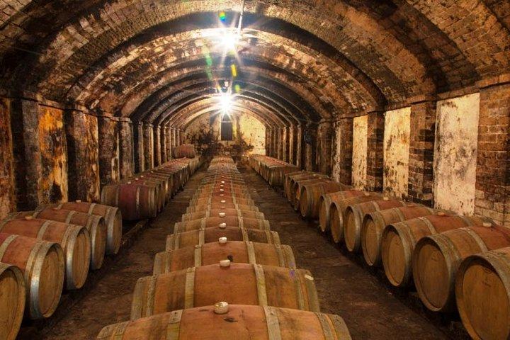 Chianti & Supertuscan privétour 2 wijnmakerijen met lichte lunch