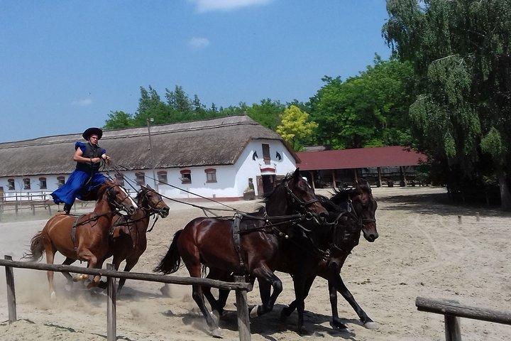 O Horse Show "Puszta"