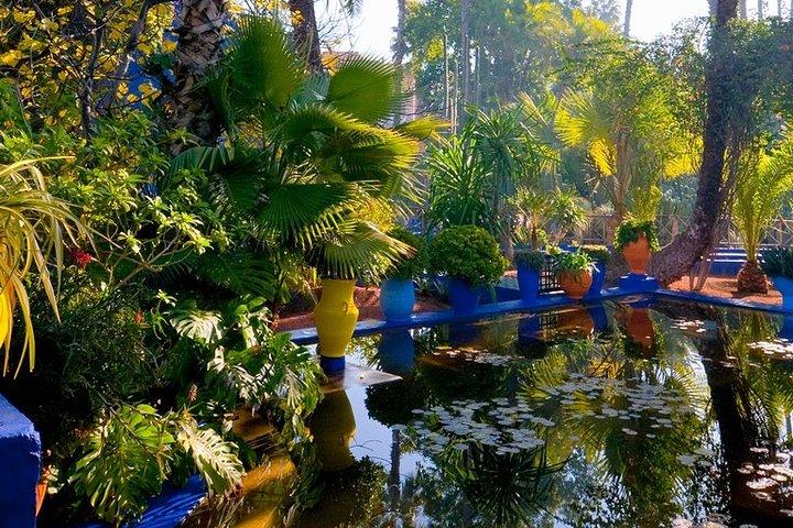 "Majorelle Garden & Palmeraie Quad Biking: Marrakech Adventure"