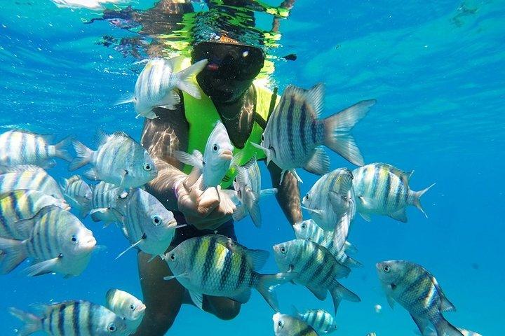 Puerto Plata Shore Excursion, Snorkeltur & Sosua Beach Day