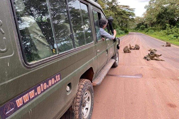 5日間のタランギーレ、セレンゲティ、ンゴロンゴロクレーター、マニヤーラ湖国立公園