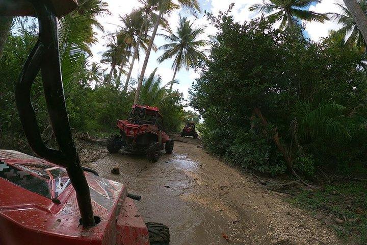 Buggy Tour fra Sosua