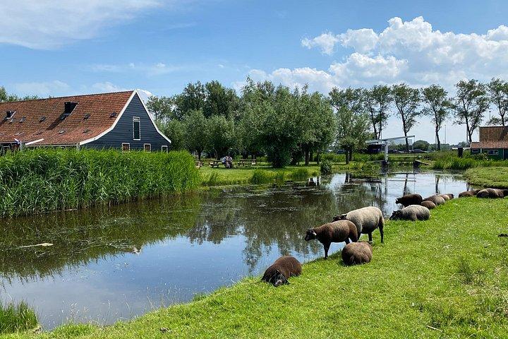 Escape Amsterdam: E-Bike to Zaanse Schans Windmills & Zaandam