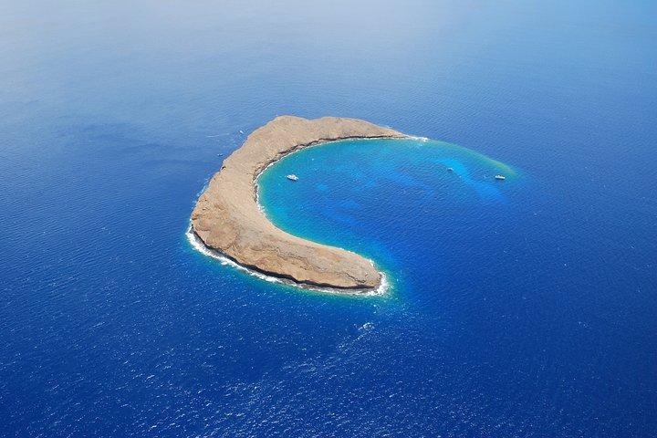 マウイ島：モロキニ島＆タートルタウンシュノーケル＆ウォータースライドアドベンチャー