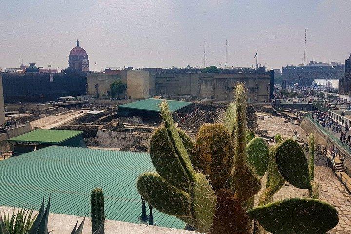 Tour a piedi semi privato del Museo Templo Mayor nel centro di Città del Messico