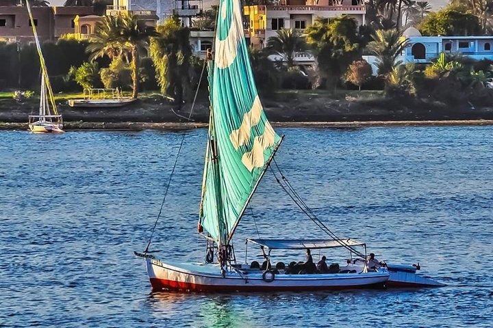 Hela privat dagstur till östra och västra banker i Luxor - privat