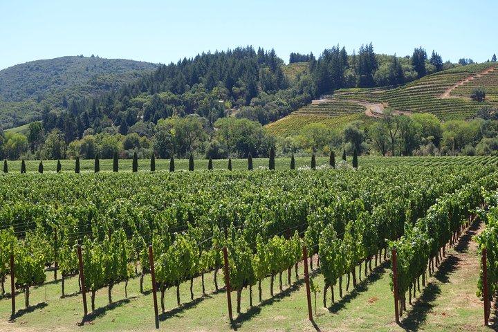 Napa & Sonoma Wine Tour Tours privados 8 a 10 horas max 14 pax
