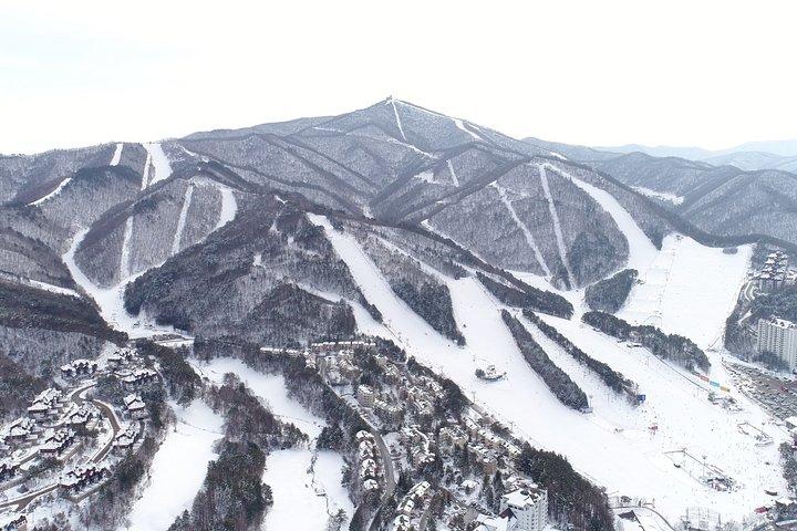 平昌オリンピックスキーリゾートのプライベートスキーツアー（より多くのメンバーより少ないコスト）