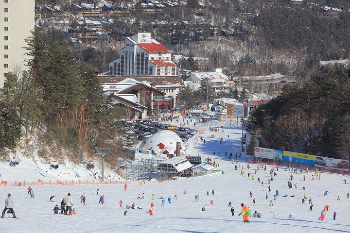 平昌オリンピックスキーリゾートのプライベートスキーツアー（より多くのメンバーより少ないコスト）