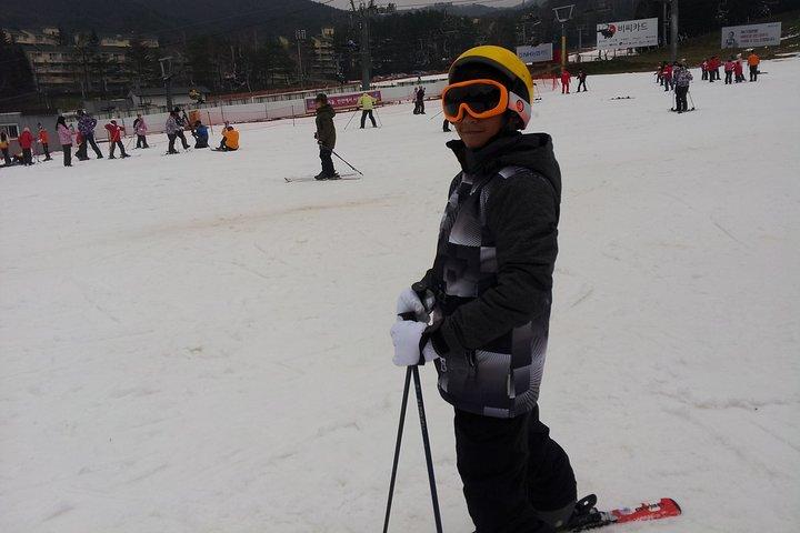 平昌オリンピックスキーリゾートのプライベートスキーツアー（より多くのメンバーより少ないコスト）