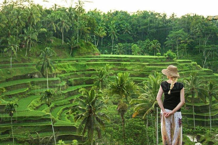 Ubud: Monkey Forest, Jungle Swing, Terrazza di riso e Tempio dell'acqua