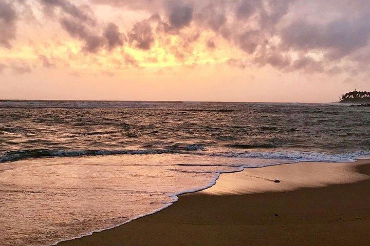Bästa av Sri Lanka Tour (06 dagar 05 nätter) - Kandy- N.Eliya -Bentota-Colombo