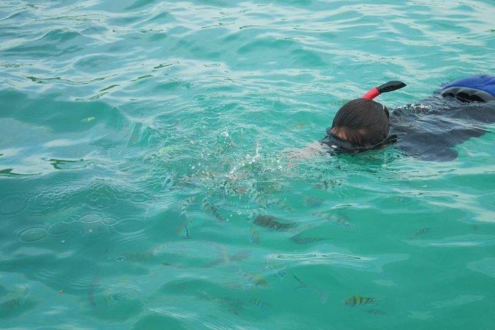 サムイ島からスピードボートで行くタン島とマドサム島のシュノーケリング旅行