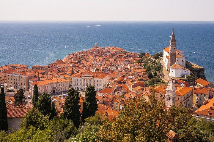 Cavernas Skocjan, Castelo Piran e Predjama | Viagem privada de Liubliana