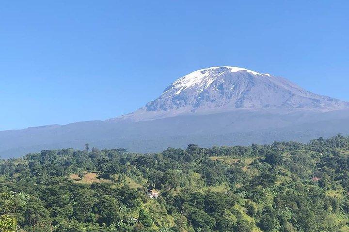 6days mount kilimanjaro trekking Machame route
