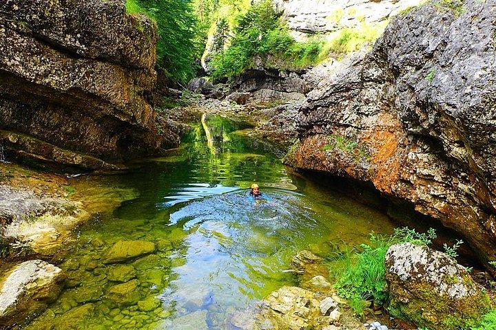 Canyoning in Almbach mit einem staatlich geprüften Guide
