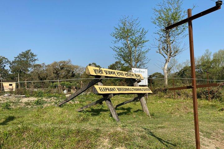 1 noite, 2 dias, passeio de safári em Chitwan