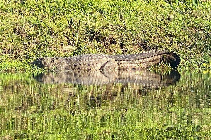 3 Nights 4 Days Comfortable Chitwan Safari Tour