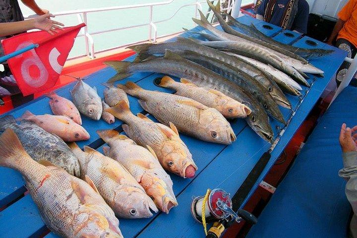 Excursão de um dia de pesca de barco privado de Koh Samui