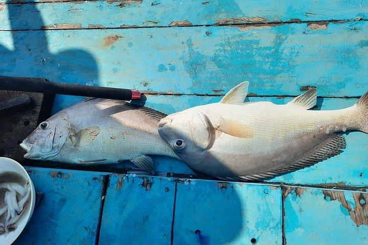 サムイ島発プライベートボート釣り日帰りツアー