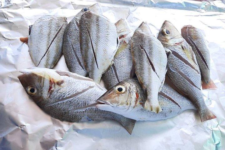 サムイ島発プライベートボート釣り日帰りツアー
