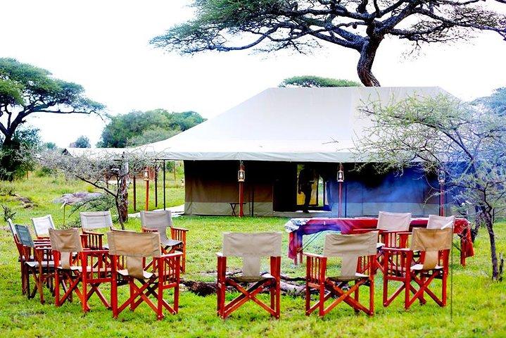 8 días 7 noches Tanzania Wildlife & Culture Lodge Safari
