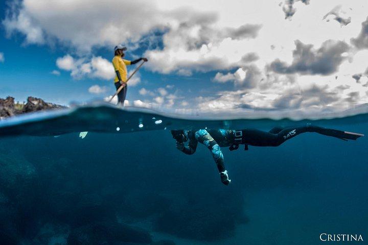 Stand up Paddle Course