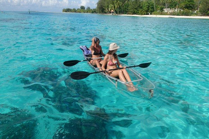 Moorea Lagoon Tour by Transparent Kayak