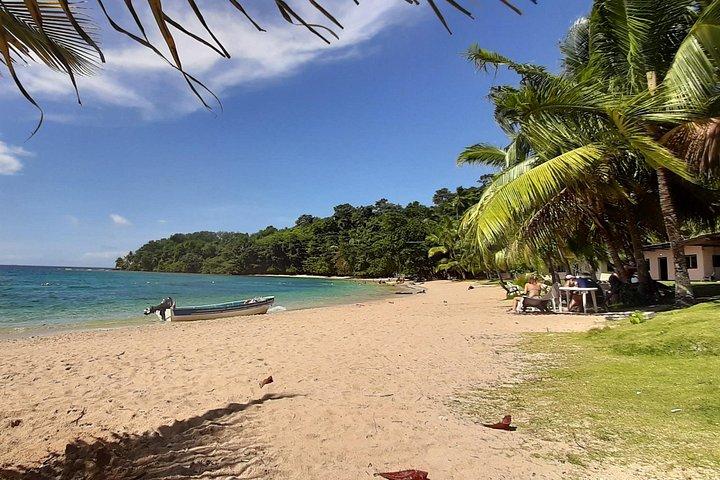 カリブ海への日帰りツアー：グランデ島とポートベロ