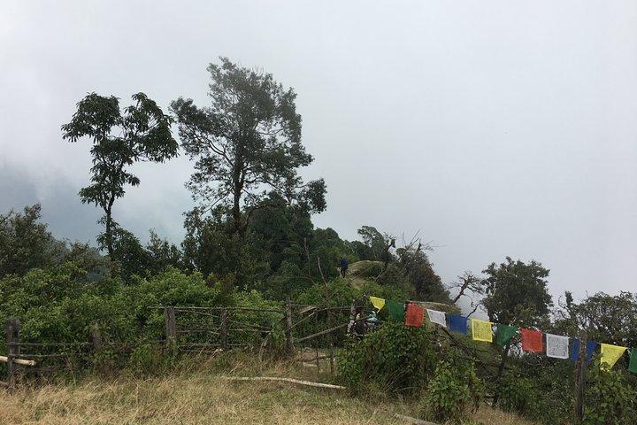 Australian Camp Easy Hiking from Kathmandu