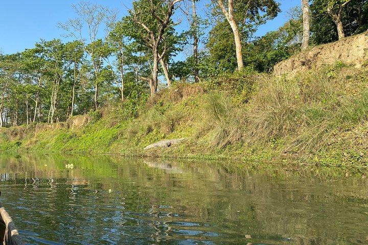 Chitwan Jungle Safari con pernottamento