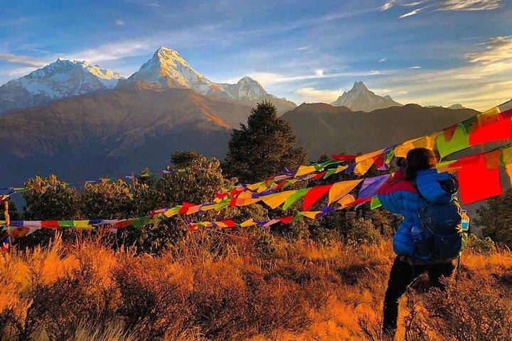 4 dages Poon hill trekking fra Pokhara