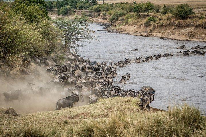 10-dagars privat safari i Tanzania
